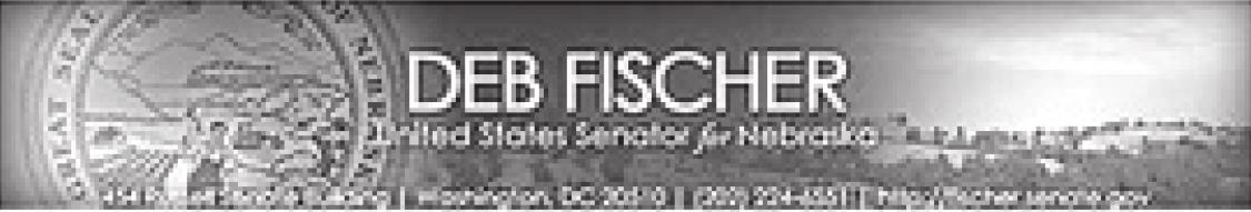 Alt Text for Image