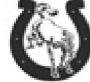 Alt Text for Image