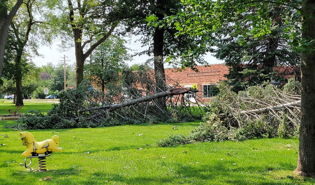 Pictured is the damage done to the park in Polk caused by wind. PCN photo by Beth Sparrow.