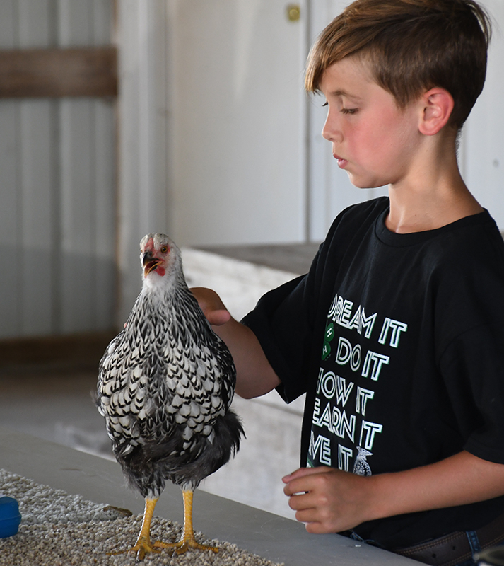 Declan Gable shows his bird in the Poultry Show. Polk County News Photo by Rick Holtz