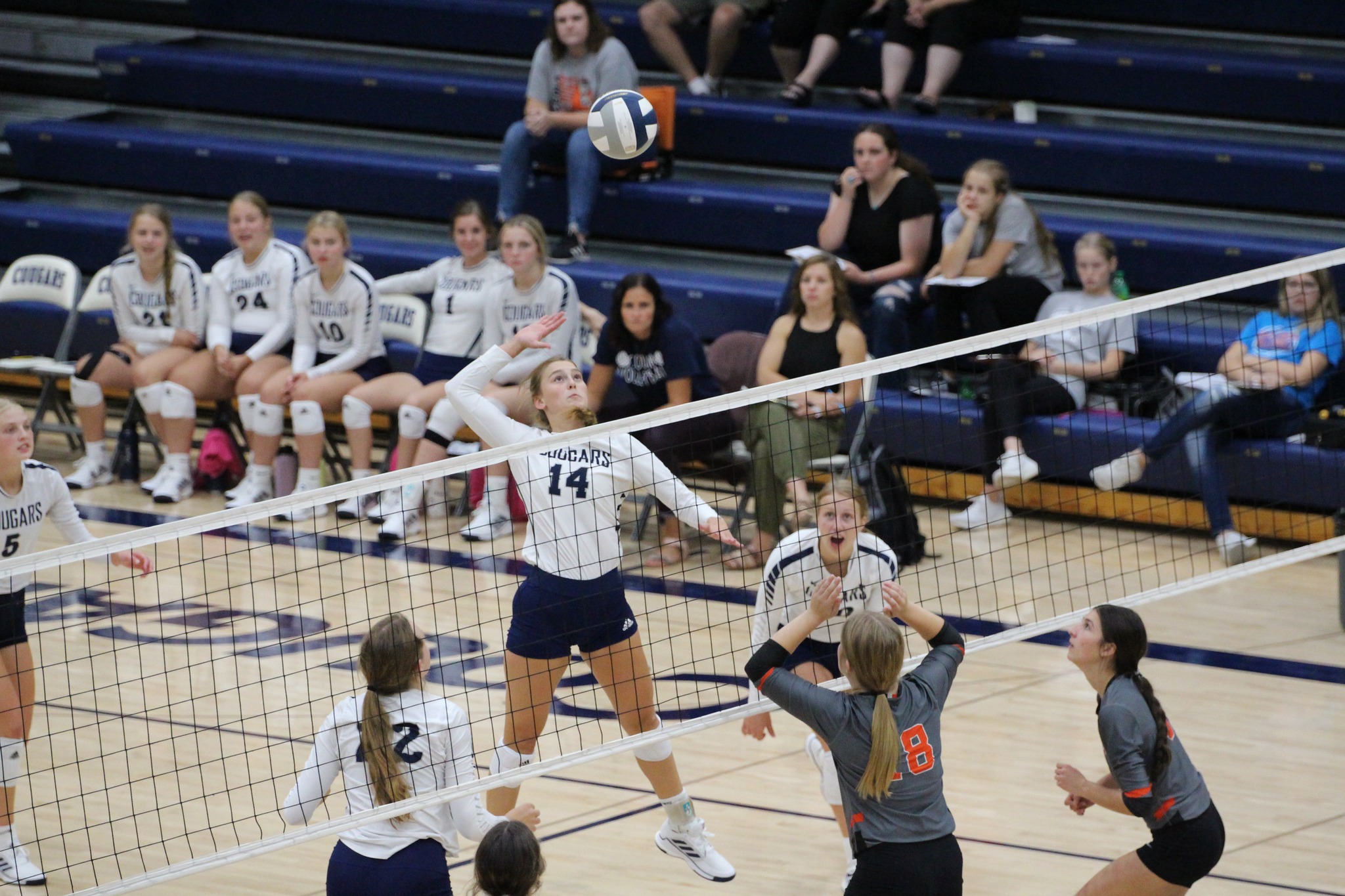 Shyannne Anderson attacks the ball for the Cougars. PCN photo by Travis Lane