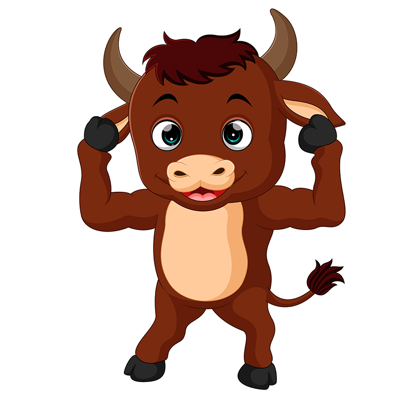 The Cross County FFA Alumni and other supporters are holding the inaugural Bull Fry Fund-raiser on Saturday. The event is at the American Legion in Stromsburg from 5:30-8:30 p.m.
