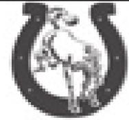 Alt Text for Image