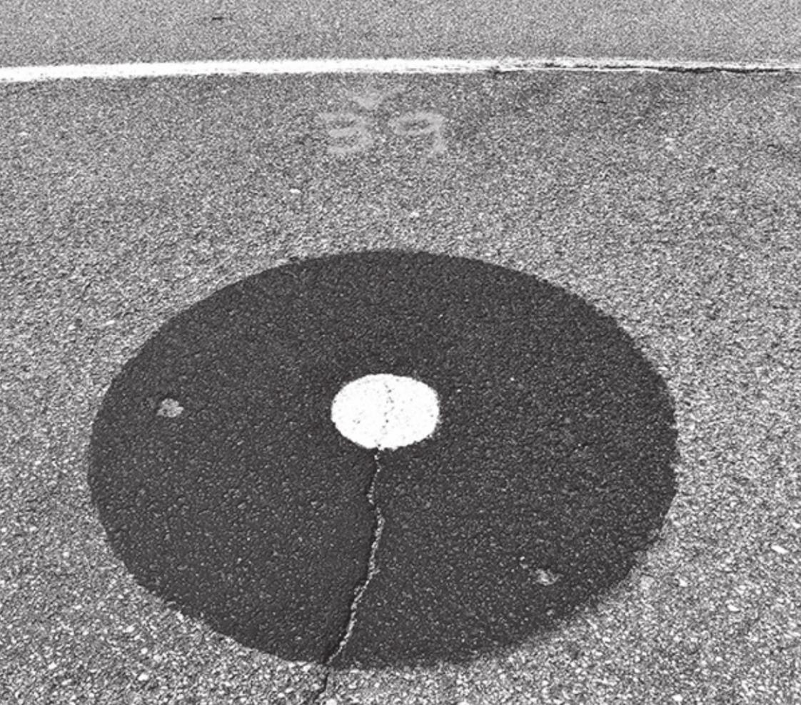What Are Those Black Circles with White Dots on Highway 81?