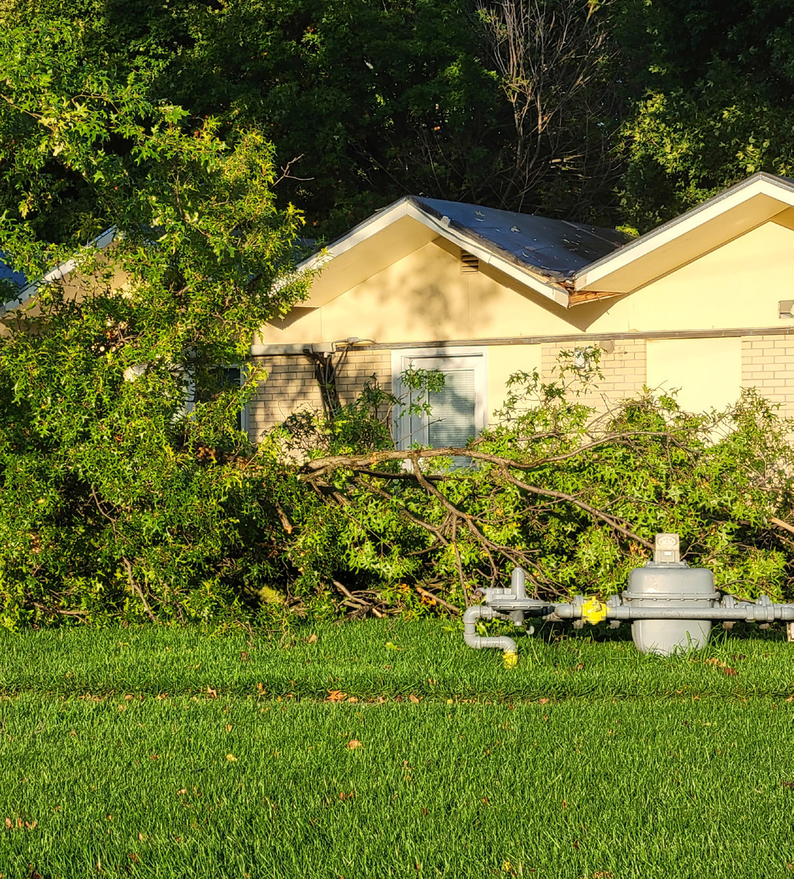 A storm hit last Tuesday night and branches in Stromsburg, Osceola and Shelby received damage, as they broke and fell. Pictured are trees down in front of the Stromsburg Housing. Notice a little damage to the roof at the bottom of the “V”. PCN photo by Beth Sparrow.