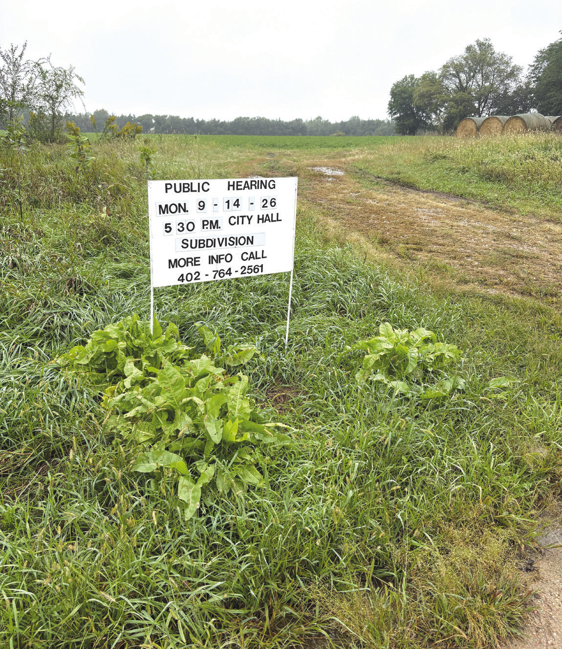 Above: This area near 125th Blvd and M Road has recently been approved for 6 lots for a subdivision on the outskirts of Stromsburg. PCN photo by Beth Sparrow.