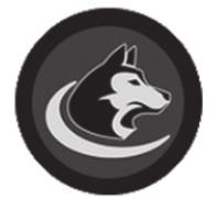 Alt Text for Image