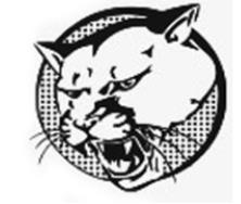 Alt Text for Image