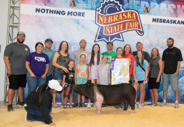 Halee Peterson participated in the FFA swine show at the Nebraska State fair where she received Grand Champion Hampshire Market gilt and Reserve Champion Spotted Market Barrow. Photo provided.