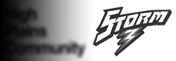 Alt Text for Image
