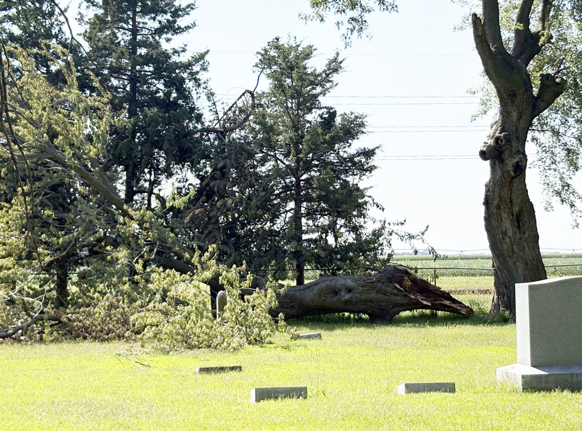 Area weather seemed to make this tree break in the Stromsburg Cemetery. This is in the west block (the older section) of the cemetery. PCN photo by Beth Sparrow.