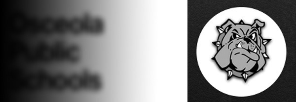 Alt Text for Image