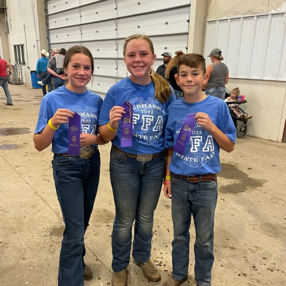 Shelby-Rising City FFA received all purple ribbons for FFA showmanship. Pictured are Aubree Siffring, Kaleigh Ruth &amp; Garrett Ruth. Photo provided