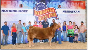 Oakley Jelinek, 9 years old of Osceola, daughter of Nate and Torie (Conkling) Jelinek, had an amazing weekend at the Nebraska State Fair. She won Champion Maintainer Breeding Heifer then received third Overall Breeding Heifer with her heifer Nikki. She also won Grand Champion Market Heifer with her heifer Blanche. Photo provided.