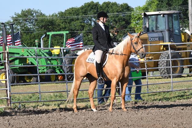 Chloe Sandell was named Grand Champion in the English Pleasure portion of the Horse Show Wednesday at the Polk County Fair. Polk County News Photo by Rick Holtz