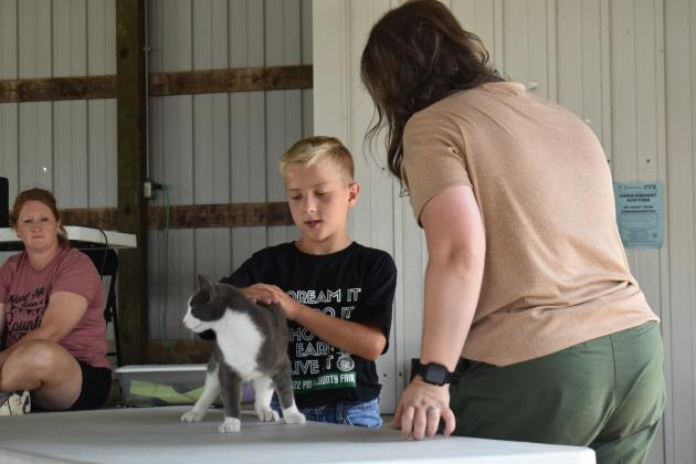 Logan showing his cat in the small animal show. Photo by Beth Sparrow