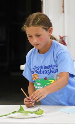 Alexa Stewart of Shelby gets a closer look at an item during the Horticulture Judging contest Wednesday. Polk County News Photo by Rick Holtz
