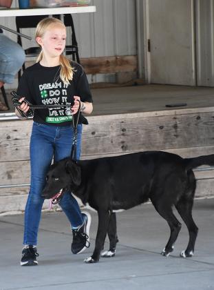 Emma Frazier (left) with her dog, Maisy, was the Grand Champion of the Rally portion of Thursday's Dog Show. Polk County News Photo by Rick Holtz