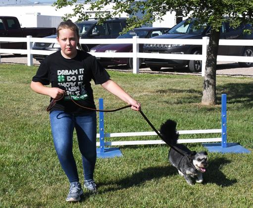 Marivel Nyberg with her dog, Oscar, run the obstacle course at Thursday's Dog Show. The duo were named Grand Champion for the obstacle course and for Showmanship at the Polk County Fair. Polk County News Photo by Rick Holtz