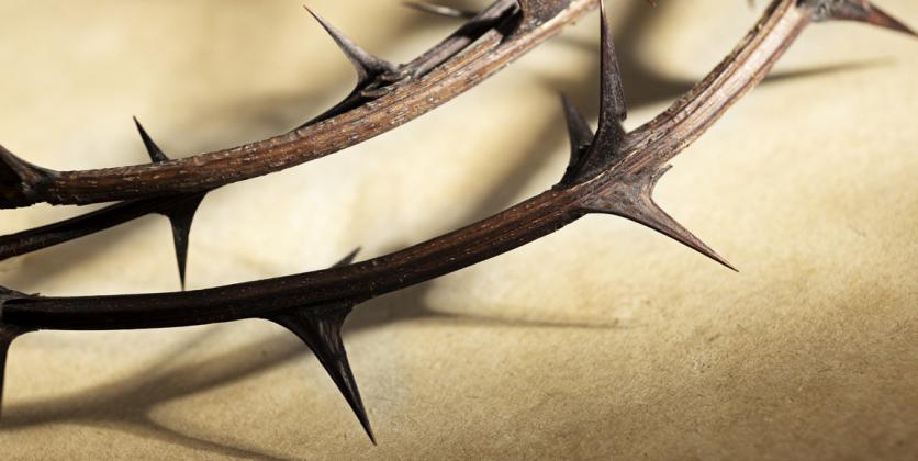 A close-up of a crown of thorns. The Lenten season reminds us of Jesus' trials leading to the cross. Photo provided.