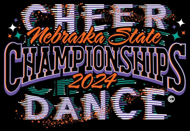 Area Dance/Cheer Squads Excel at State