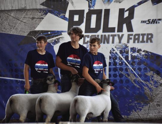 Three 4-H boys showing goats at the Polk County Fair in 2023. PCN file photo by Beth Sparrow.