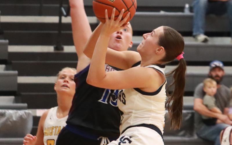 Cross County’s Adrienne Waller drives and draws the foul on Kailey Patzel of Newman Grover /St. Ed in the first quarter. Wallwer finished with eight points and she was 6 of 6 at the free throw line. PCN photo by Ken Kush.