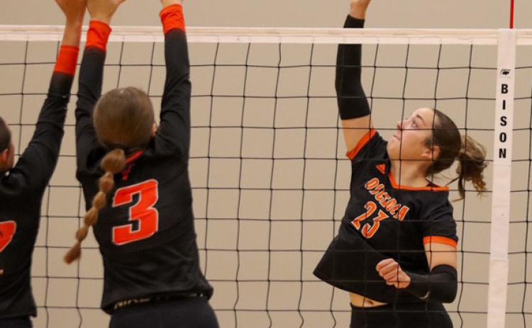 Osceola junior Bella Recker (23) looks for the attack winner against the frontline defense of the Dorchester Longhorns in Tuesday nights game. PCN photo by Blaine Winslow.