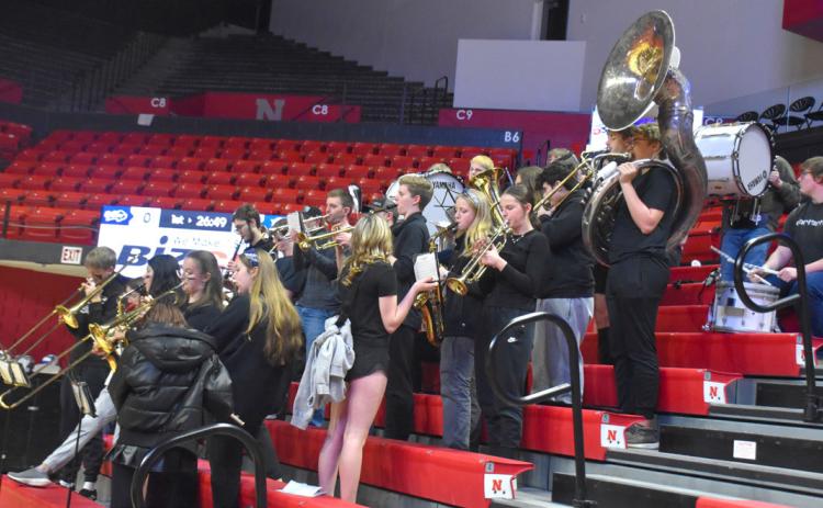 Cross County Has Fun at State Basketball