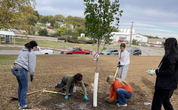 Above: Korrina Niemann, Jenni Harrington, Kinlee Feezell, Halle Gabel, and Camryn Peterson. Jenni assists the group as they prepare to mulch around a freshly planted tree. Photo provided.