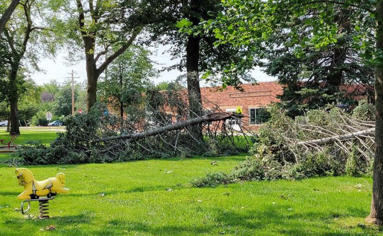 Pictured is the damage done to the park in Polk caused by wind. PCN photo by Beth Sparrow.