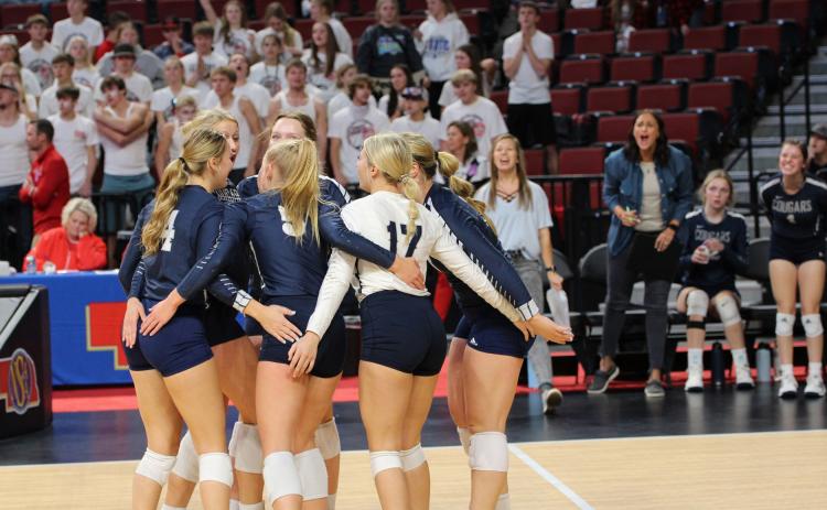 Cross County celebrates after winning a point in their three-set loss to Amherst on Thursday. PCN photos by Travis Lane