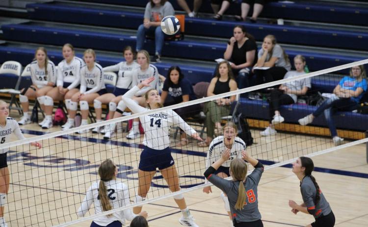 Shyannne Anderson attacks the ball for the Cougars. PCN photo by Travis Lane