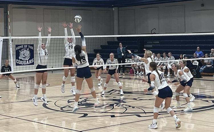 Cross County volleyball picked up another win on Thursday. Cross County Schools photo