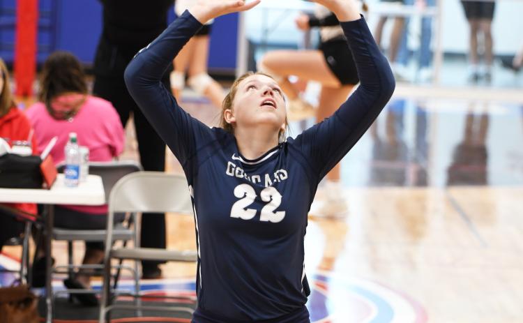 Sydney Hengelfelt, who is one of the top setters in the state as a freshman, leads the Cross County attack and is one of the reasons the Cougars are 20-3 this year. PCN photo by Rick Holtz