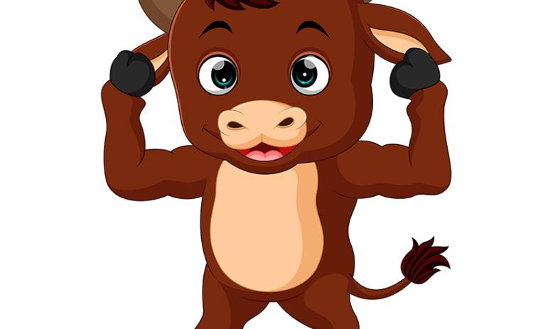 The Cross County FFA Alumni and other supporters are holding the inaugural Bull Fry Fund-raiser on Saturday. The event is at the American Legion in Stromsburg from 5:30-8:30 p.m.
