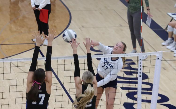 Sydney Hengelfelt gets a kill Tuesday against Shelton. PCN photo by Ken Kush