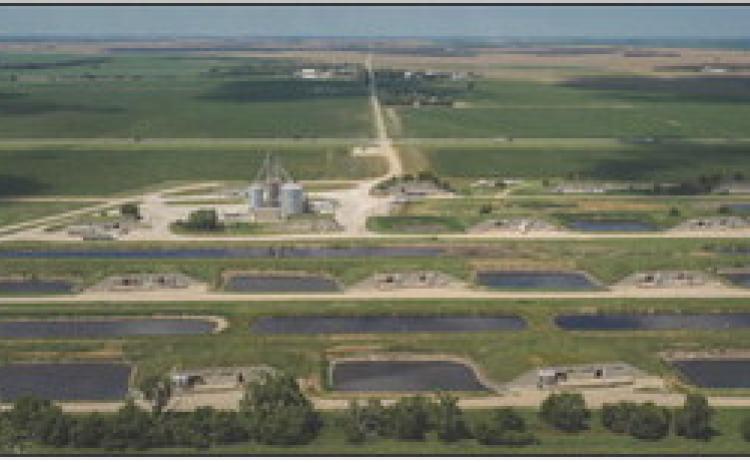 Above: Pillen Family Farms, owned by Nebraska Gov. Jim Pillen, has about 100 hog farms across the state, including Inland Foods in Hastings. Pigs on the site, a former munitions depot, are housed in converted bunkers. Photo by Loren Elliott For The New York Times