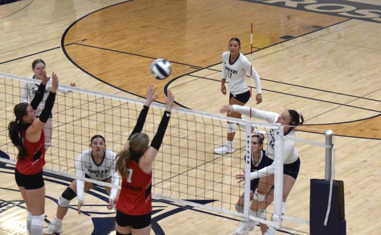Ava Pruter with one of her kills against Meridian.