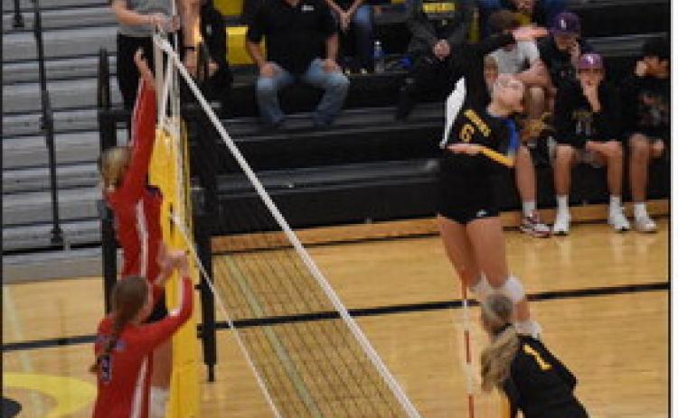 Alex Larmon hits a kill in the game against High Plains. PCN photo by Beth Sparrow.