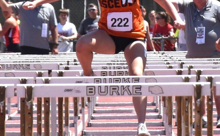 Above: Addison Theis hurdling. PCN file photo by Beth Sparrow.