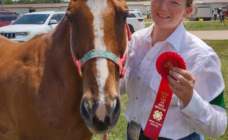 STATE 4-H HORSE SHOW