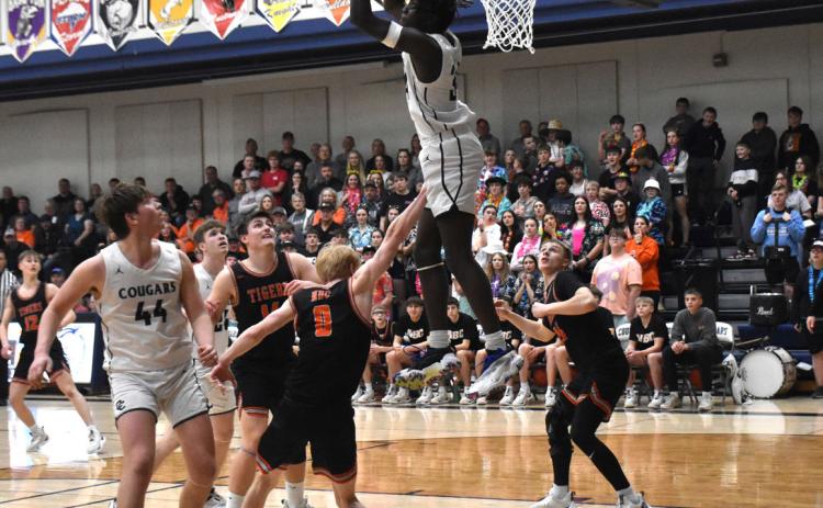 James Elgin jumps high and gets the rebound. PCN photo by Beth Sparrow.