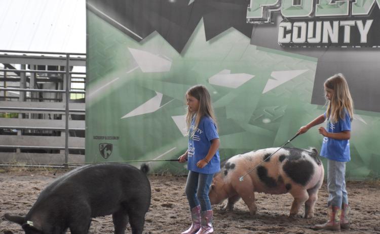 Above: Two Clover Kid girls, Analeis and Emma Czarnick, showing their pigs.