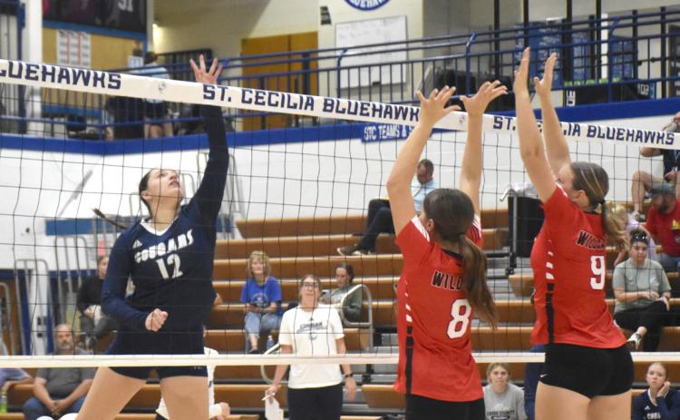 Junior Cortina Donnelly (12) looks for the open court on the tip attempt against the Superior front row defense. PCN photo by Beth Sparrow.