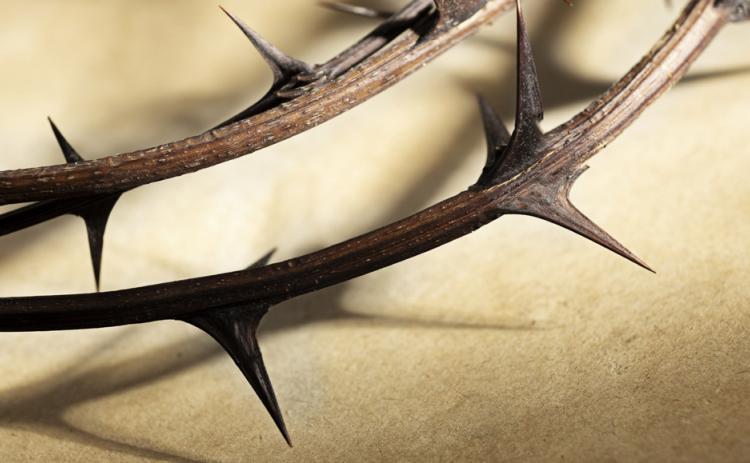 A close-up of a crown of thorns. The Lenten season reminds us of Jesus' trials leading to the cross. Photo provided.