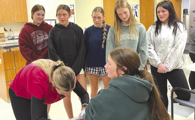Sadie Pheak is drawing Emily Conkling as the Osceola Health Science class watches. Photo provided by AJMCHC.