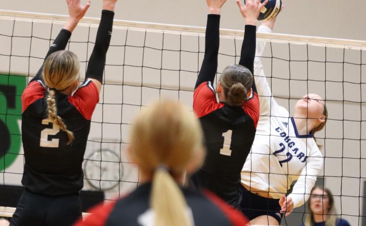 Cross County senior Sydney Hengelfelt (22) comes into the 2025 season with 504 career kills and 1,100 set assists. The senior set the Cougars single-game record with 32 kills against Meridian last year. PCN file photo.