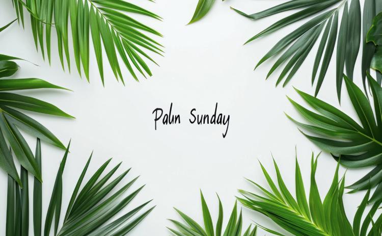 Palm Sunday: Welcome Jesus!