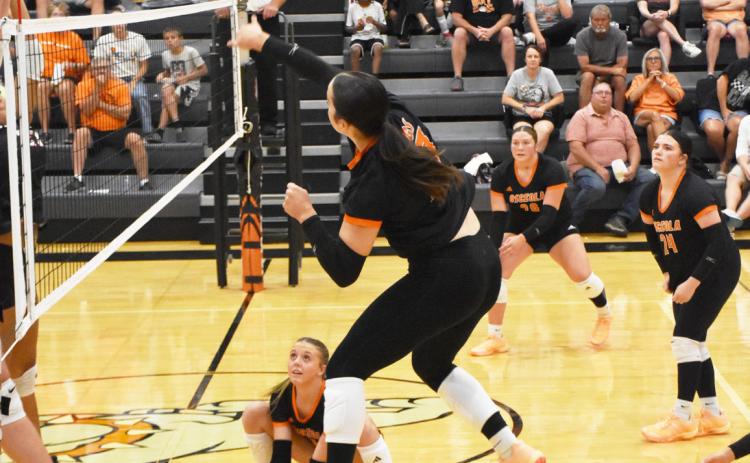 Osceola senior Bella Recker hammers the ball over the net in action against Cedar Bluffs last Thursday night in Osceola. PCN photo by Beth Sparrow.